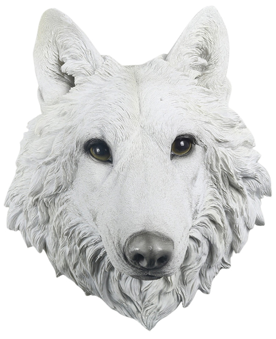 White Wolf Head Wall Art